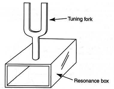 Figure 2 – The tuning fork
