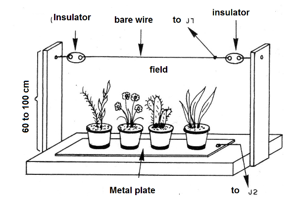 Figure 16 - Field producing wire
