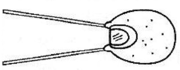 Figure 11 - Tantalum capacitor.
