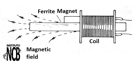 Figure 2 - The sensor
