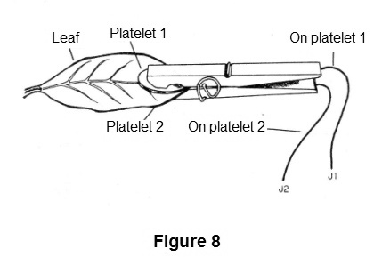 Figure 8 - Electrodes for plants
