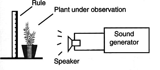 Figure 2 – Placing the circuit near a plant
