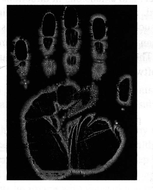 Figure 1 - Aura of the human hand taken by a Kirlian camera. Analysis of the color version can reveal health problems in patients, according to paranormal researchers and many medical doctors.
