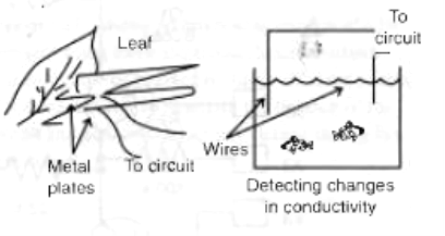 Figure 10 - Using the lie detector with other living systems
